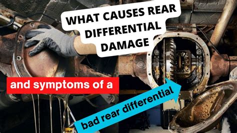 Rear Differential Leaks: Symptoms, Causes, and What to Do